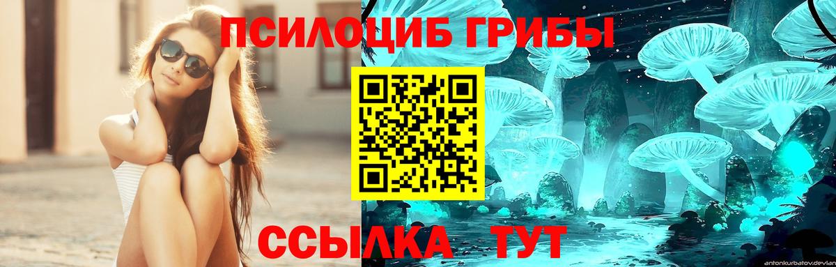 Галлюциногенные грибы ЛСД  Вход с VPN  Биробиджан 